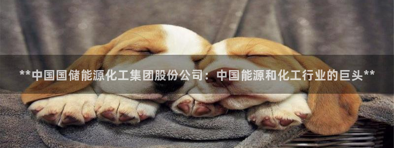 球盟会几点玩合适