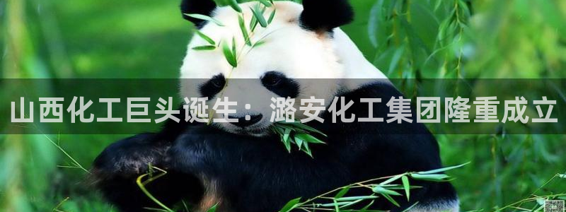 球盟会在线登录官网