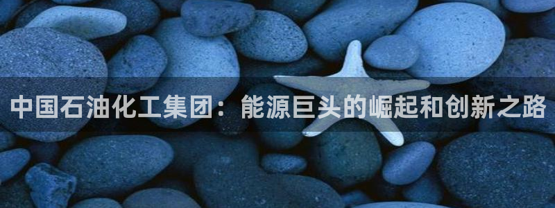 球盟会可以提现么