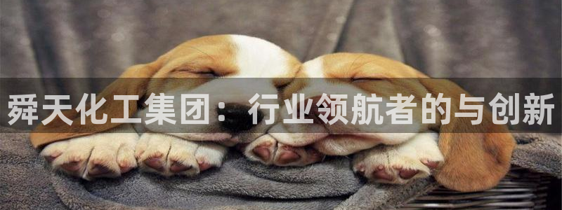 球盟会官方网址入口