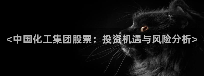 球盟会官方下载