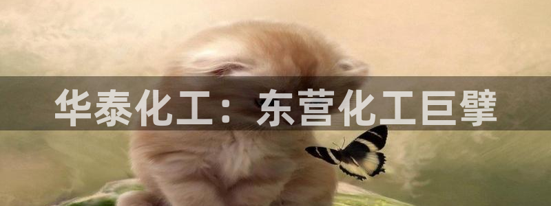 球盟会APP官网