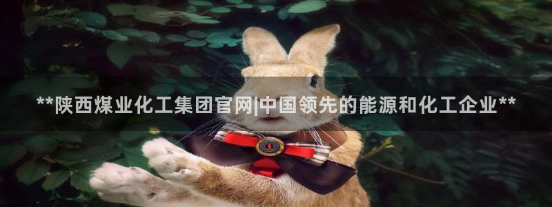 球盟会黑台子