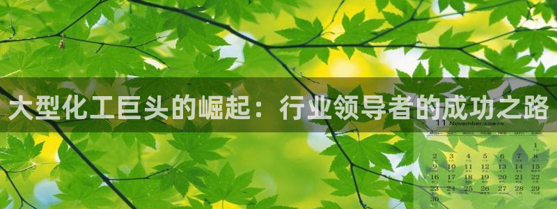 球盟会app最新地址在哪
