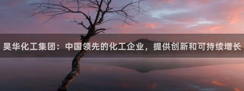 球盟会黑