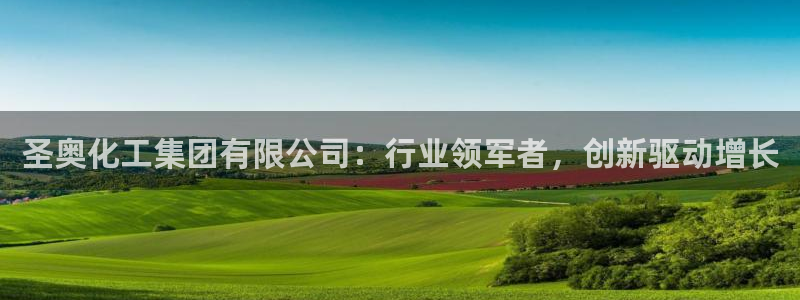 球盟会用的客服聊天是哪个软件