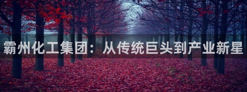 球盟会进不去