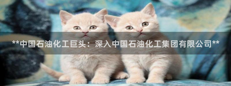 球盟会官方网站app