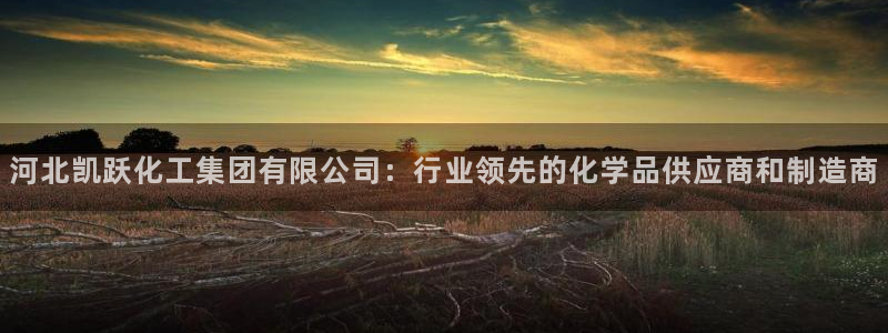 球盟会贴吧
