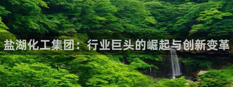 球盟会APP下载