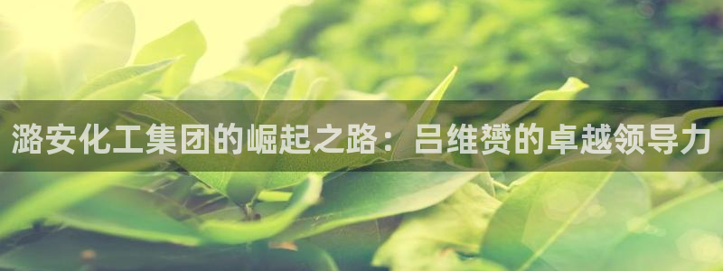 球盟会网址qm9 - 球盟会qmh网页版登录