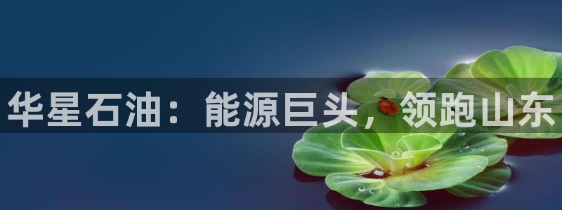 球盟会电子好黑