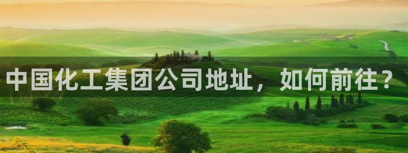 球盟会可以提现么