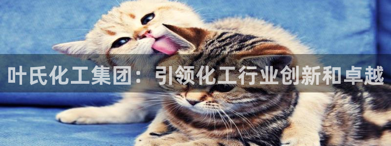 球盟会官方入口