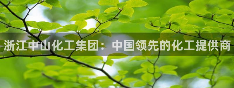 球盟会中国官方网站