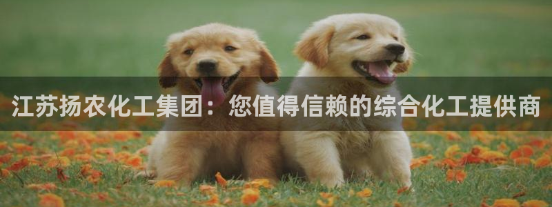 球盟会app网址多少号