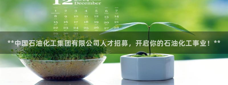 球盟会登陆