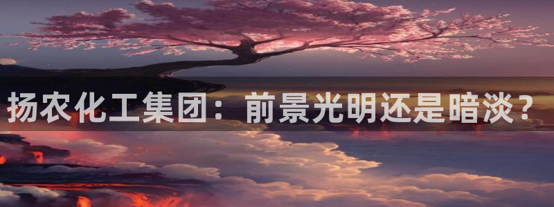 球盟会可以提现么是真的吗