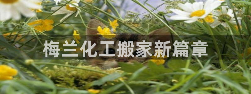 球盟会黑款吗知乎文章