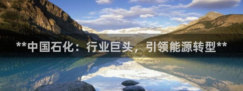 球盟会黑款吗