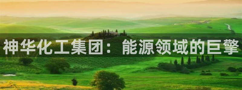 球盟会黑钱
