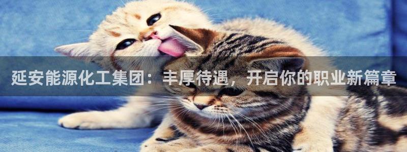 球盟会app最新地址在哪找