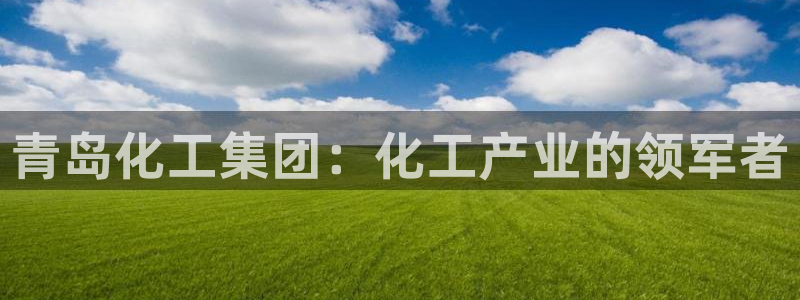 球盟会官方客服
