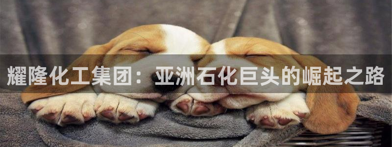 球盟会官网网页版