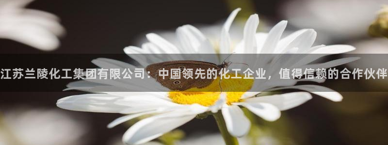 球盟会黑