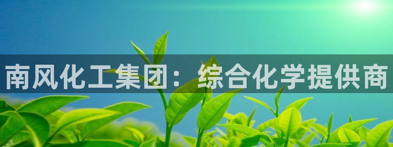 球盟会平台怎么样