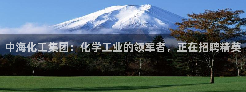 球盟会里面有打牌的嘛是真的吗
