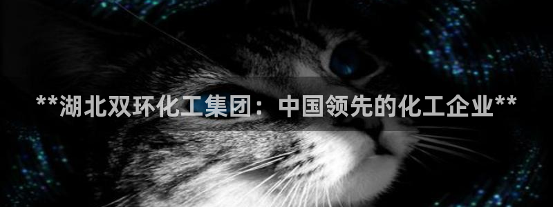 球盟会黑款吗是真的吗：**湖北双环化工集团：中国领先的化工企