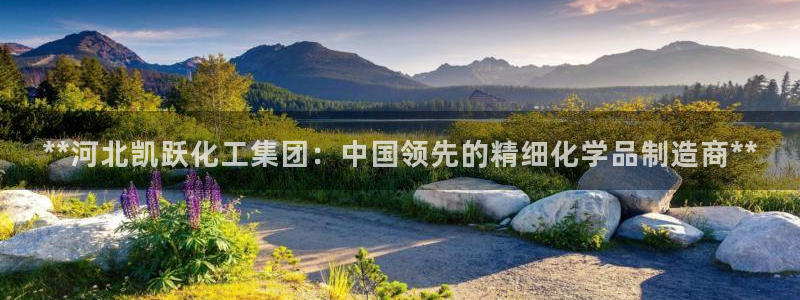 球盟会黑平台：**河北凯跃化工集团：中国领先的精细化学品制造