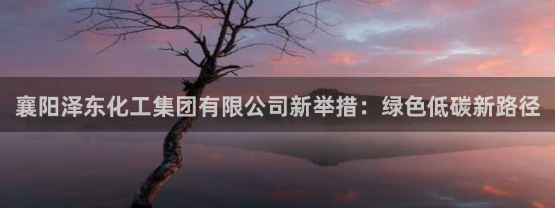 球盟会APP最新地址：襄阳泽东化工集团有限公司新举措：绿色低