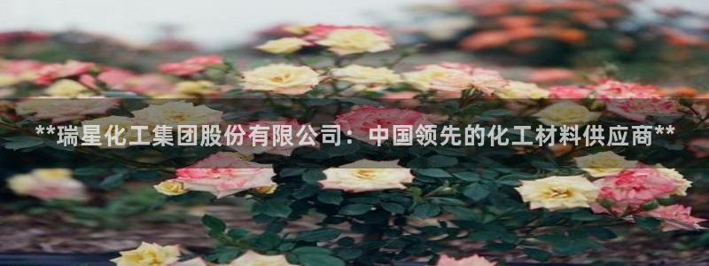 球盟会平台会黑单吗：**瑞星化工集团股份有限公司：中国领先的