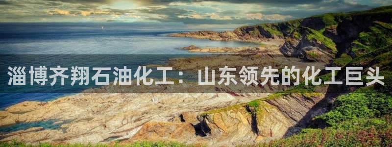 球盟会官方网站是什么：淄博齐翔石油化工：山东领先的化工巨头