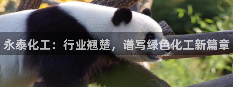 球盟会app最新地址在哪看
