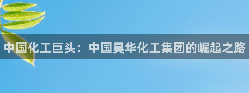 球盟会出款黑了