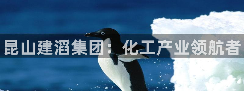 球盟会官方下载