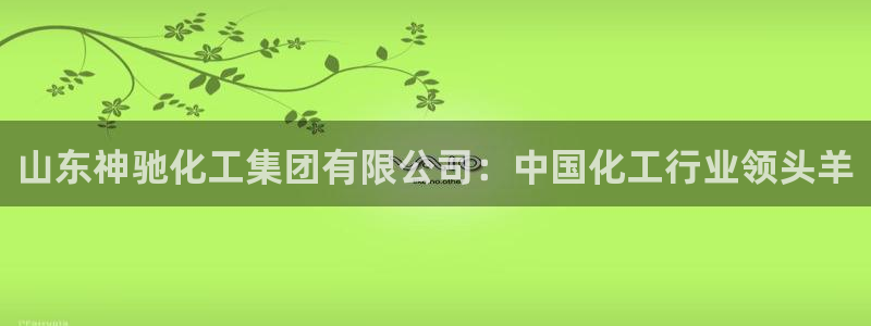 球盟会综合体育平台怎么样：山东神驰化工集团有限公司：中国化工