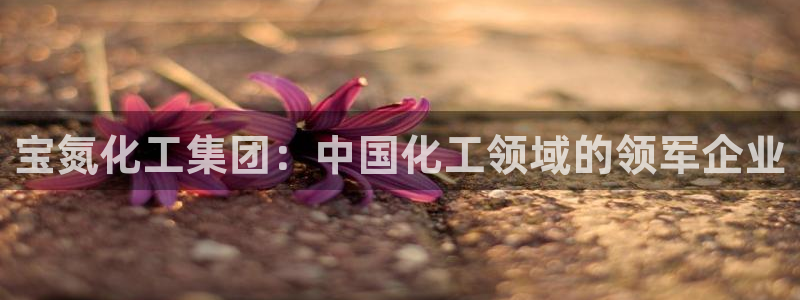 球盟会综合体育平台怎么样