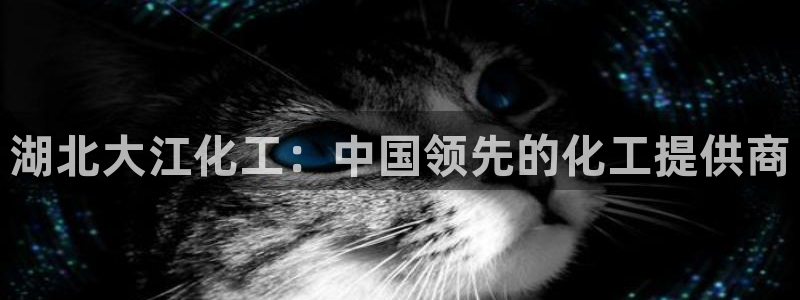 球盟会官网网页版：湖北大江化工：中国领先的化工提供商
