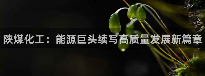 球盟会网页版：陕煤化工：能源巨头续写高质量发展新篇章