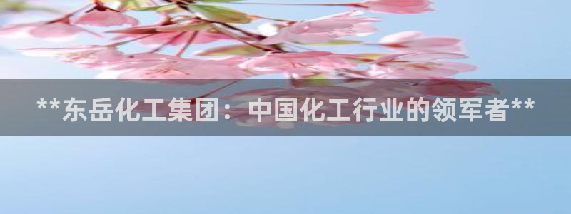球盟会地址：**东岳化工集团：中国化工行业的领军者**