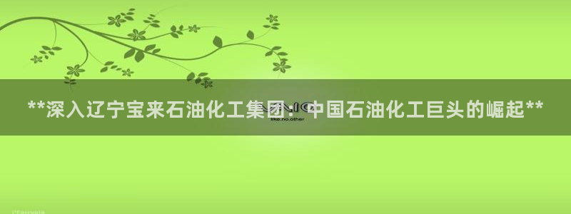 球盟会封号：**深入辽宁宝来石油化工集团：中国石油化工巨头的