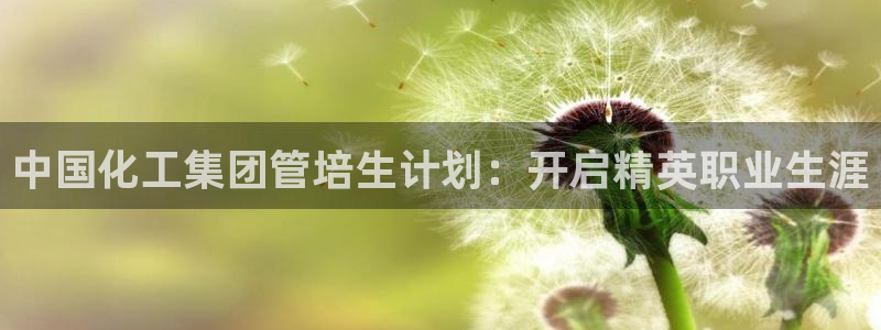 球盟会有没有黑单的活动