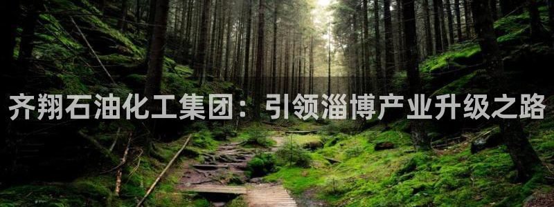球盟会进不去吗