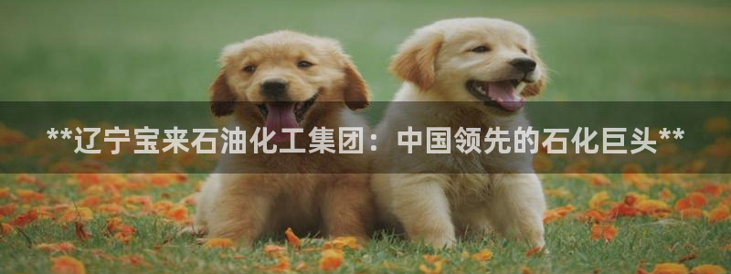 球盟会优惠码：**辽宁宝来石油化工集团：中国领先的石化巨头*