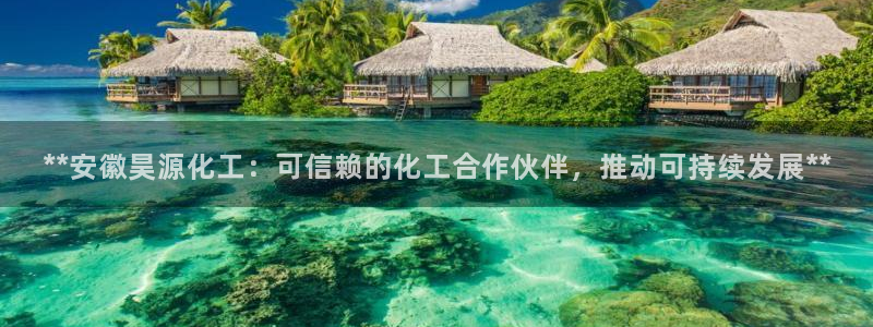 球盟会官方网入口：**安徽昊源化工：可信赖的化工合作伙伴，推