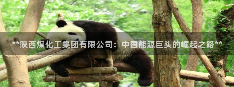 球盟会app最新地址下载
